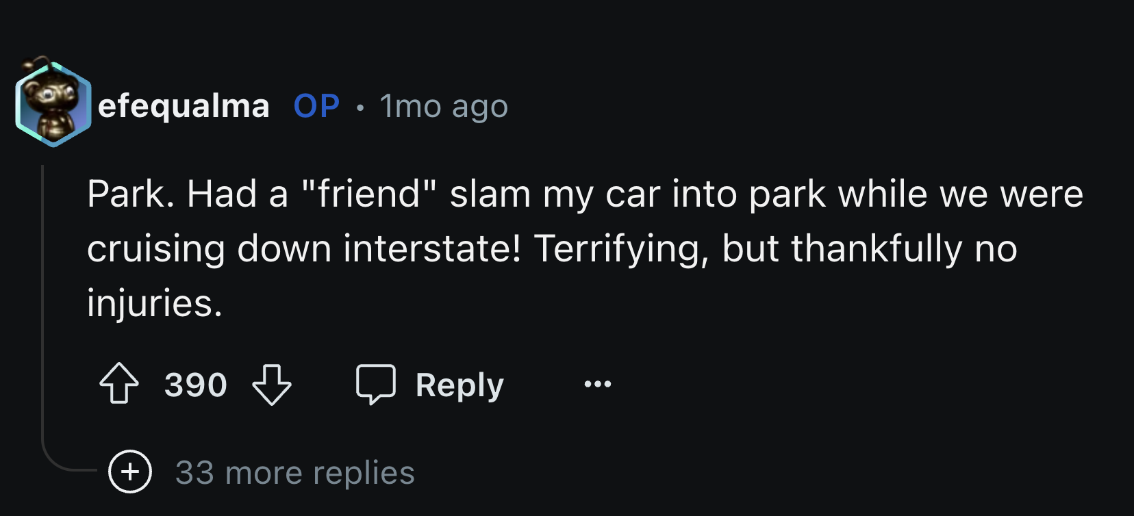 screenshot - efequalma Op 1mo ago Park. Had a "friend" slam my car into park while we were cruising down interstate! Terrifying, but thankfully no injuries. 390 33 more replies